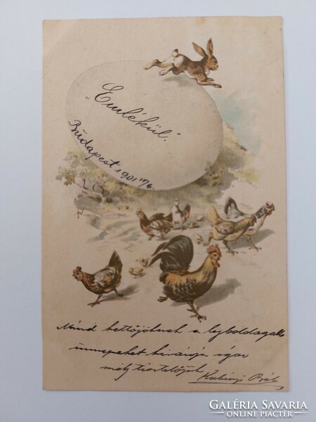 Old Easter postcard 1901 postcard bunny poultry
