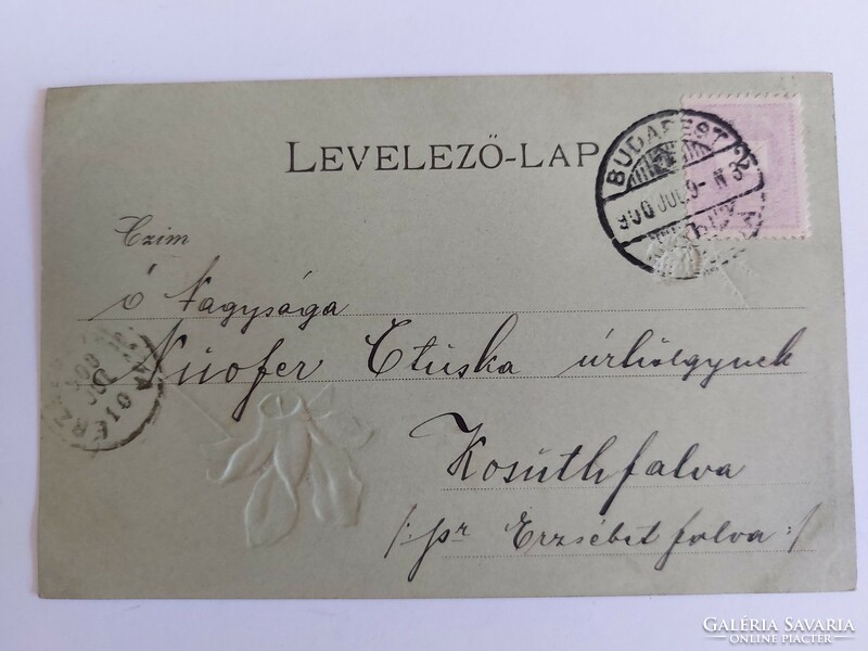 Régi dombornyomott képeslap 1900 levelezőlap fenyőág toboz ciklámen