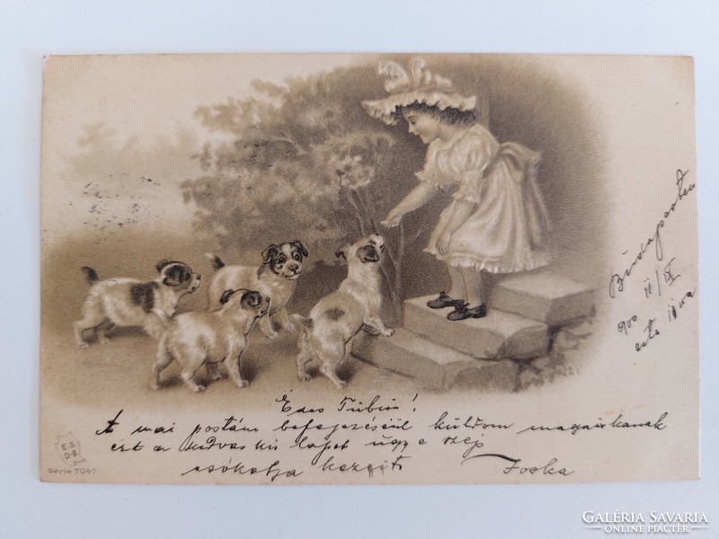 Old embossed postcard 1900 postcard with little girl puppies