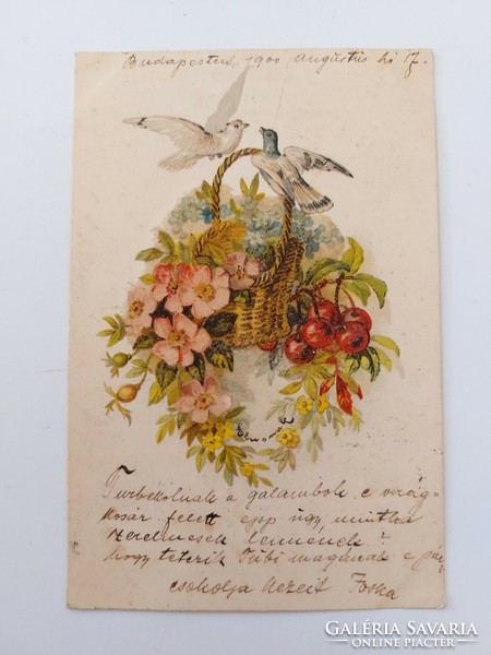 Régi képeslap 1901 levelezőlap galambok meggy virágkosár