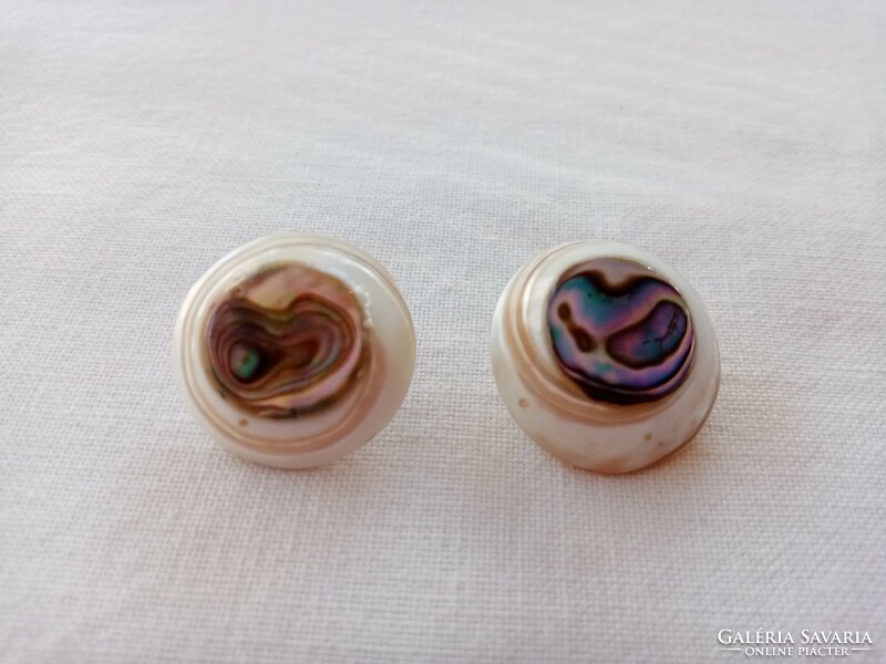 Old abalone shell clip