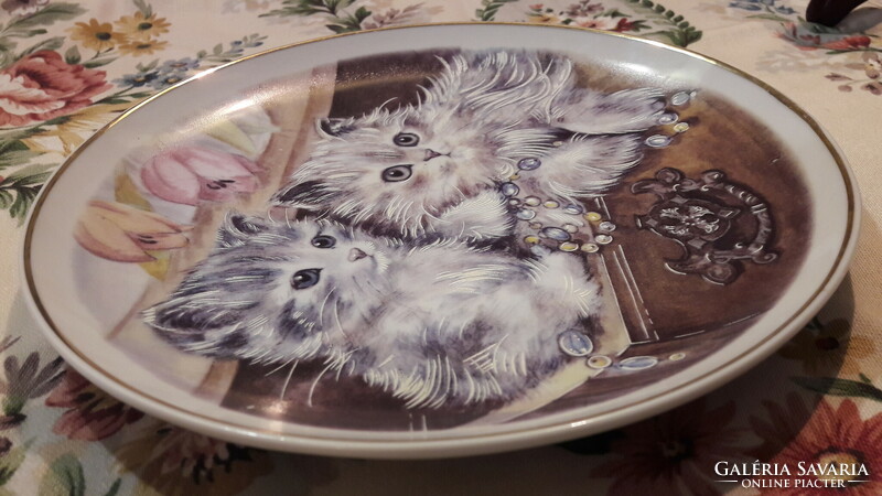 Cat porcelain plate, kitten decorative plate 1. (L2681)