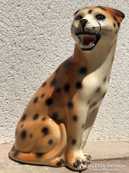 Cheetah