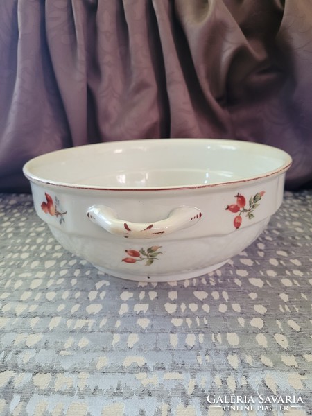 Art Nouveau majolica bowl with rosehip pattern