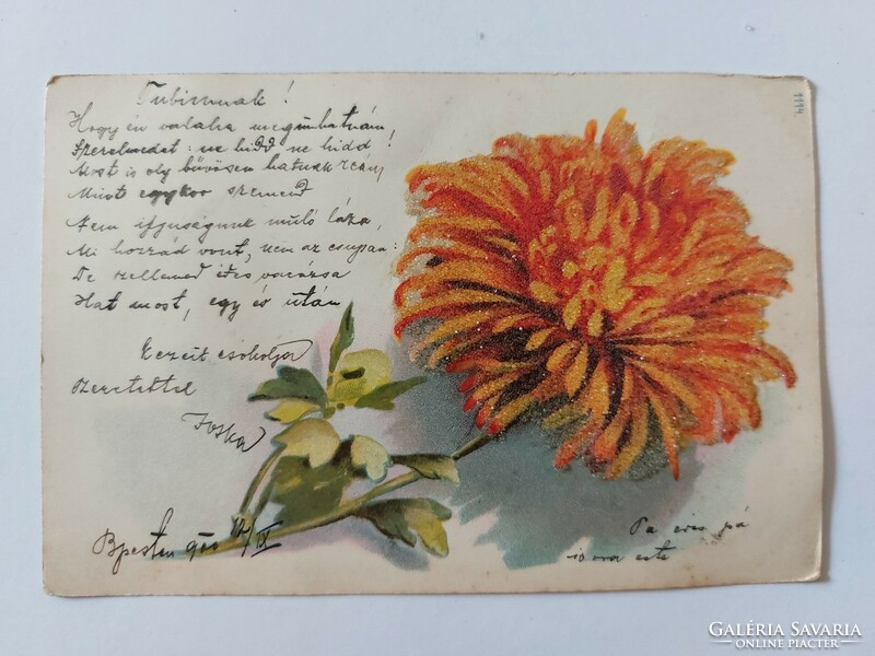 Old postcard 1900 floral postcard with aster glitter
