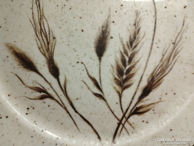 Kalász mintás porcelán nagy lapos tányér pótlásra 2 darab