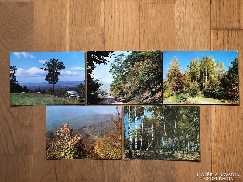 5 Matra postcards