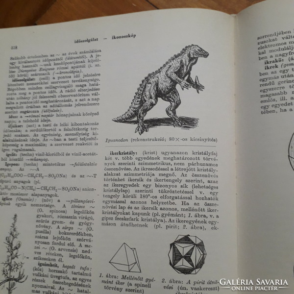 Retro - Természettudományi Kislexikon A-Z. - Akadémiai Kiadó 1971.