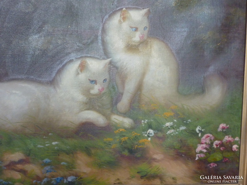 Benő Boleradszky for sale: Persian cats, oil canvas painting