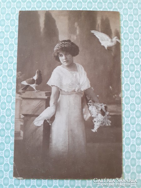Old photo postcard little girl pigeon vintage postcard
