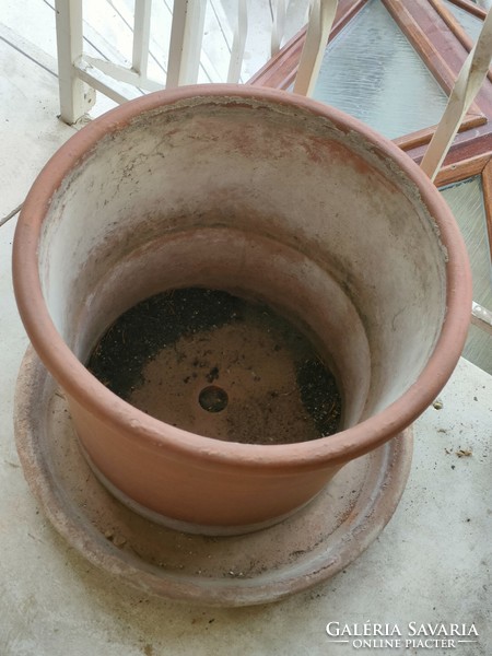 Large clay flower pot