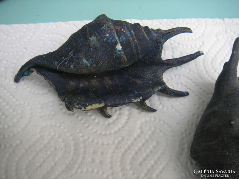 Decor shell sea snail 10 pieces