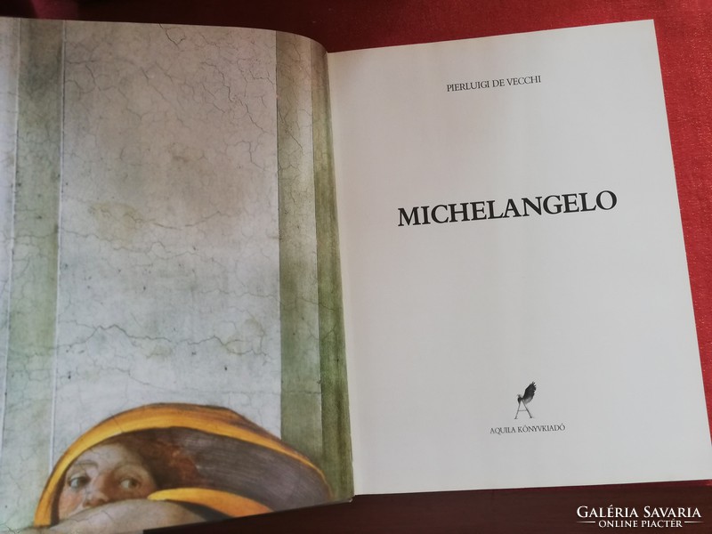 Michelangelo pierluigi de vecchi
