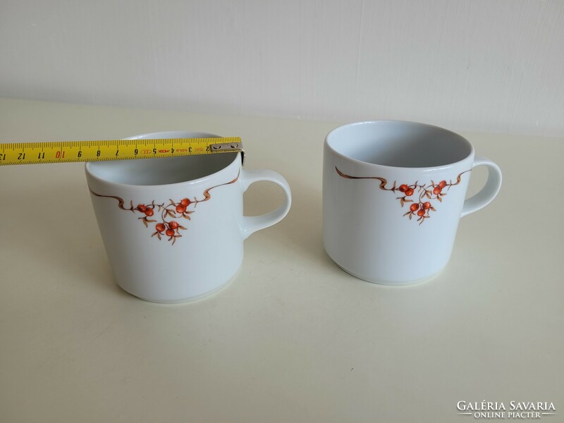 Retro 2 pcs of lowland porcelain old mugs with rosehip pattern