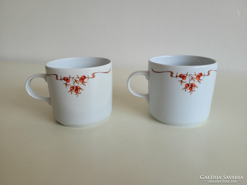 Retro 2 pcs of lowland porcelain old mugs with rosehip pattern