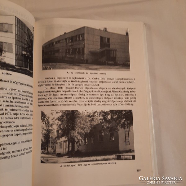 László Gerlényi: the history of the Saint György Hospital in Székesfehérvár, 1993