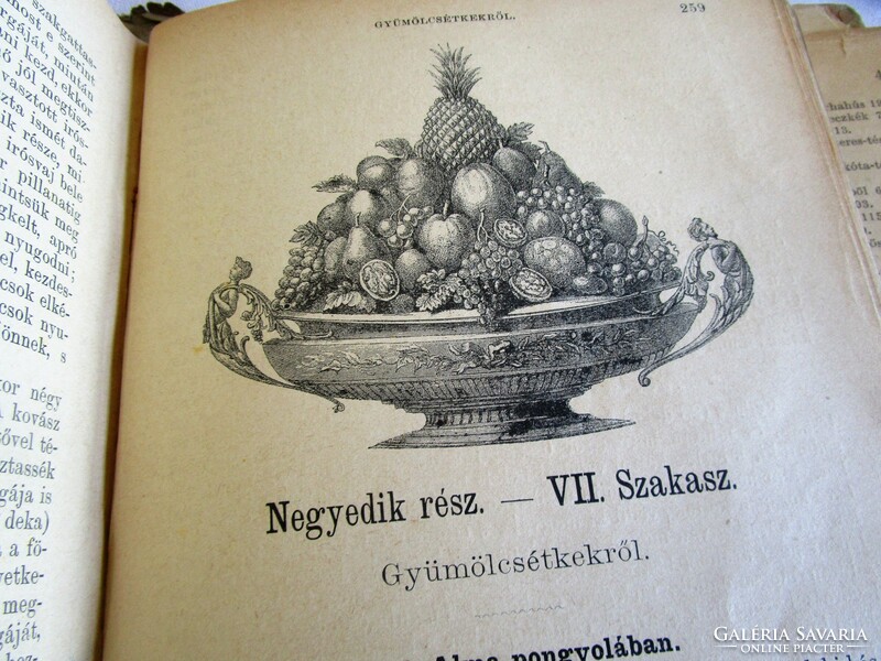 About 1890 st. Jozéfa Hilaire: picture Pest cookbook chef art master's kitchen