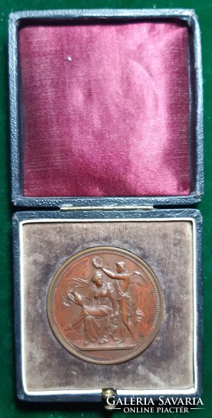 Leisek: Trieste industrial art exhibition 1891, medal in original box