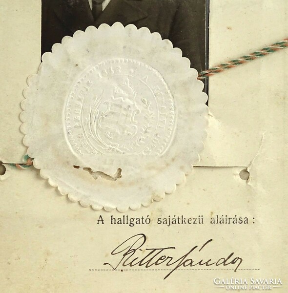 1J920 Antik Ritter Sándor leczkekönyv 1908-1912