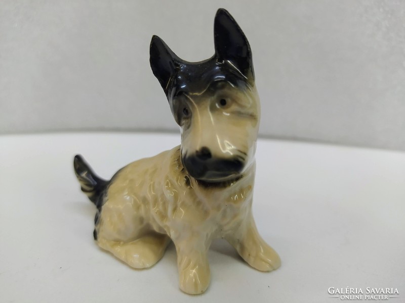 Porcelán Terrier