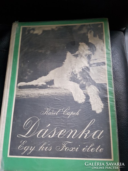 Dásenka-Egy kis Foxi élete.-1955-ös kiadás.