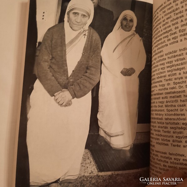 Edward le Joly: we do it for Jesus Mother Teresa and the missionaries of love Prugg Verlag 1983