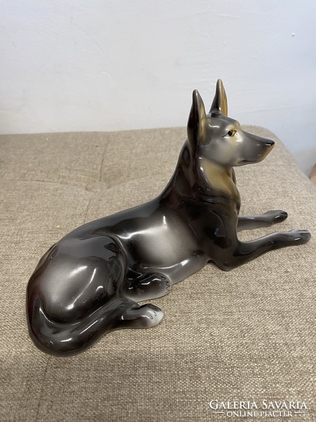 Hollóháza porcelain German shepherd dog a23