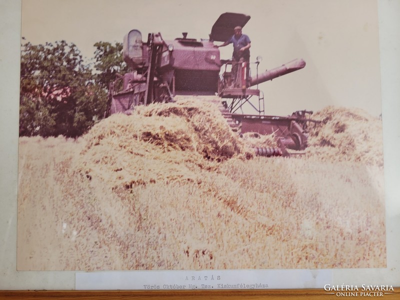 Régi retro aratás kombájn mezőgazdasági fotó kép üvegezett képkeretben Vörös Október Mg Tsz