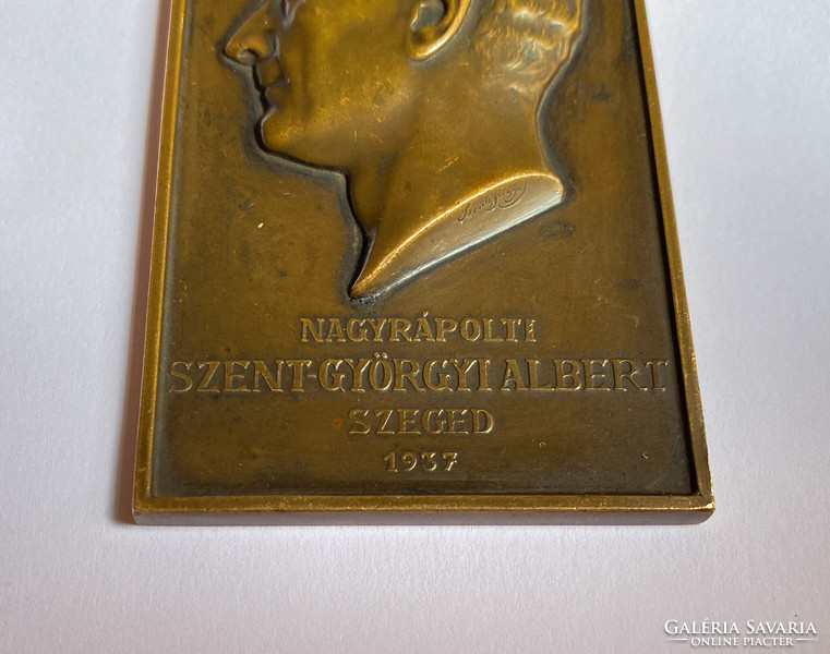 Albert Szent-györgyi 1937 bronze plaque.