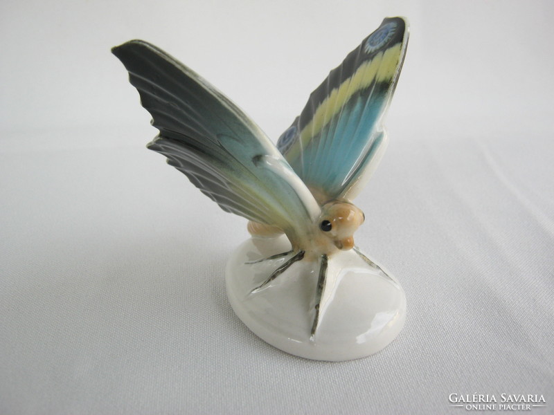 Ens Volkstedt porcelán pillangó