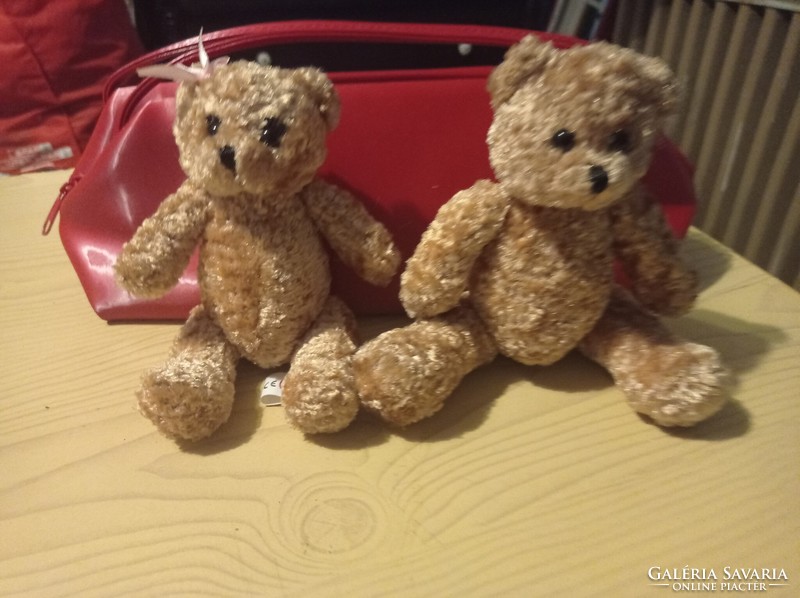 Pair of 20 Cm teddy bears