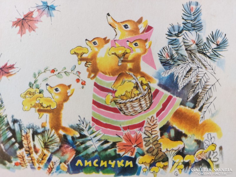 Régi képeslap 1968 rókás orosz levelezőlap