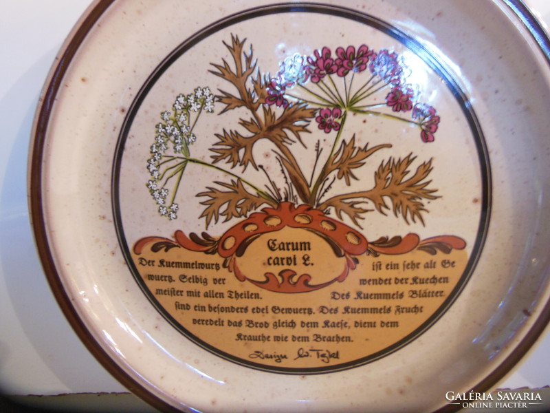 Plate - 2 pieces !! - Marked - herbal - 20 cm - ceramic - extra shiny beautiful - flawless