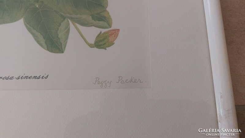 (K) Peggy Packer virág litográfia 42x52 cm kerettel