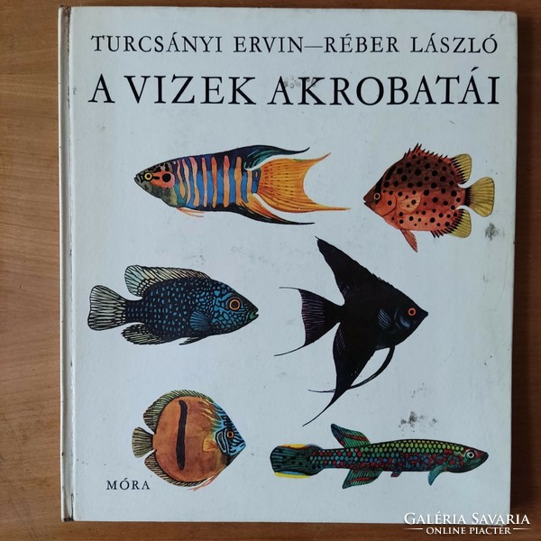 Turcsányi Ervin-Réber László: A vizek akrobatái, 1966.