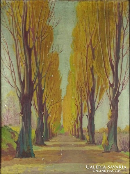 1K344 Hungarian painter xx. Century: row of poplar trees