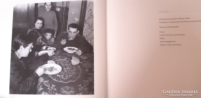 Vishniac : children of a vanished world - photo album - Judaica