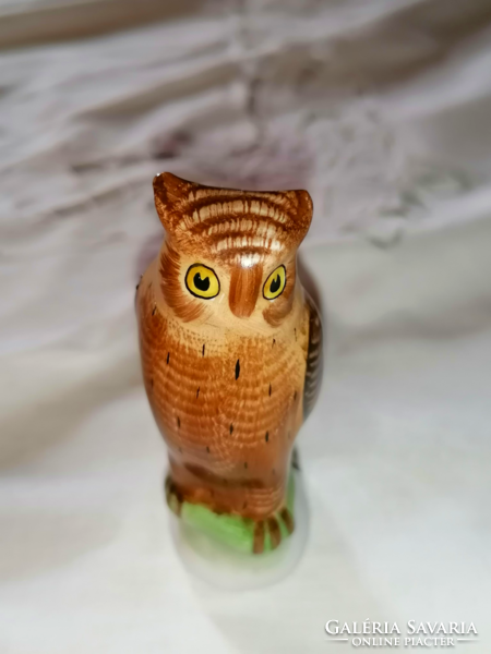 A rare owl from Bodrogkeresztúr