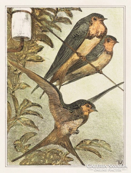 Hoytema - three swallows - blindfold canvas reprint