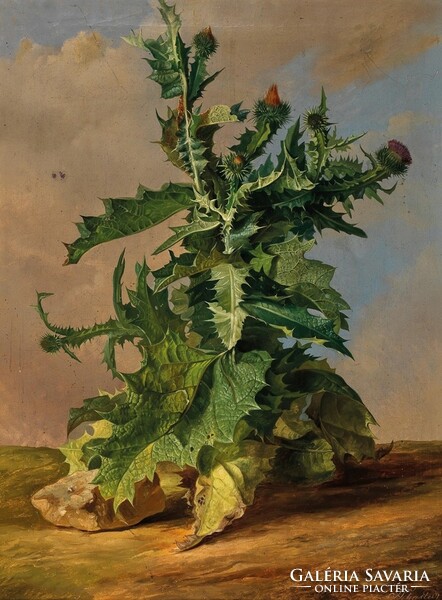 Schuster - thistle - blindfold canvas reprint