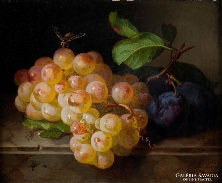 Andreas Lach - Csendélet szőlővel és méhecskével - vakrámás vászon reprint