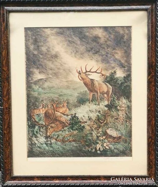 István Prihoda: roaring deer