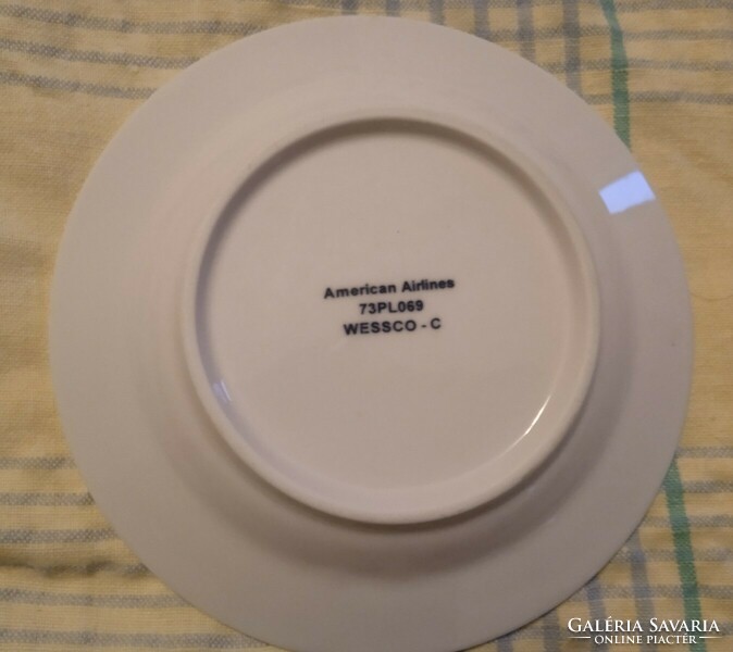 American Airlines small plate inflight item