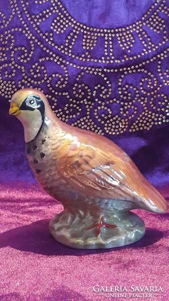 Old porcelain emperor bird (l2989)