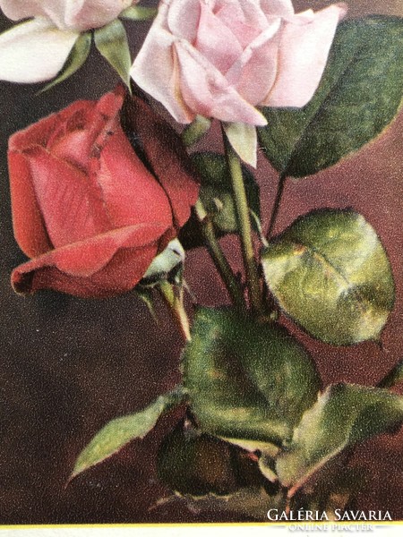 Antique old rose floral postcard