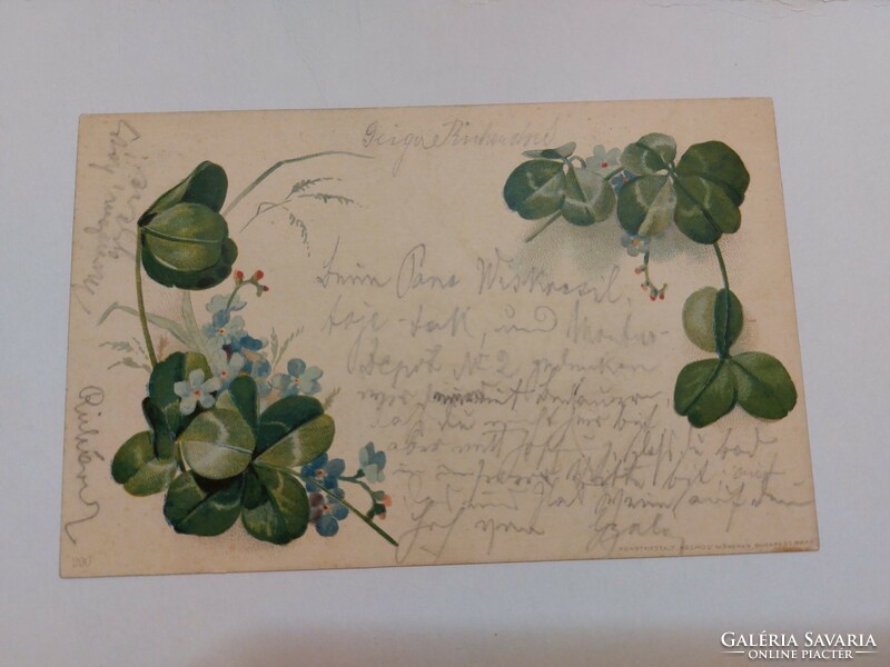 Régi képeslap 1901 levelezőlap lóhere nefelejcs