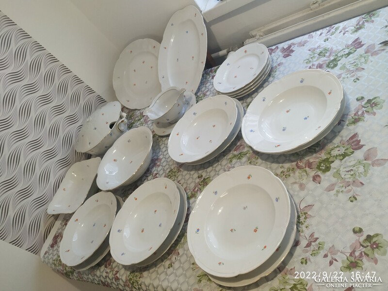 Drasche porcelain, floral tableware for sale!
