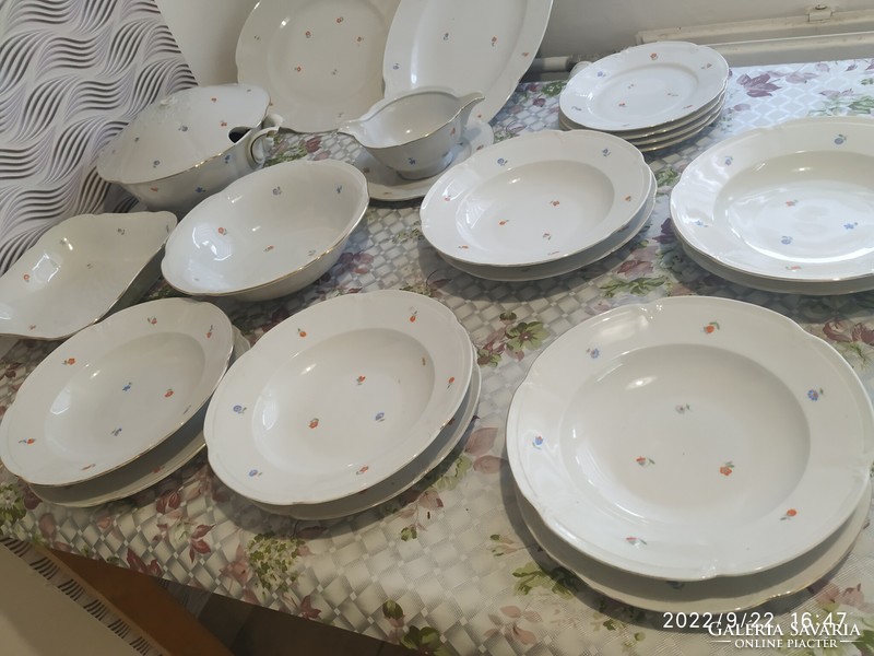 Drasche porcelain, floral tableware for sale!