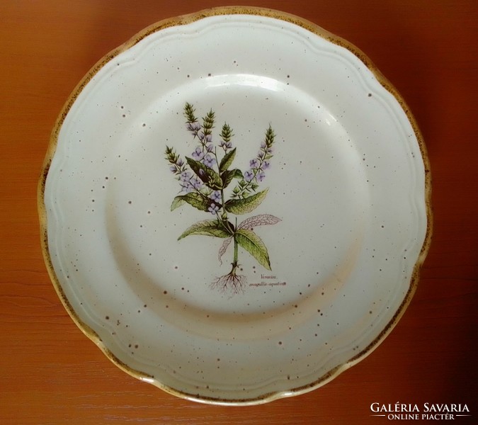 Szép olasz porcelán fali tányér finom botanikai virágmintával (veronika), latin felirattal, jelzett