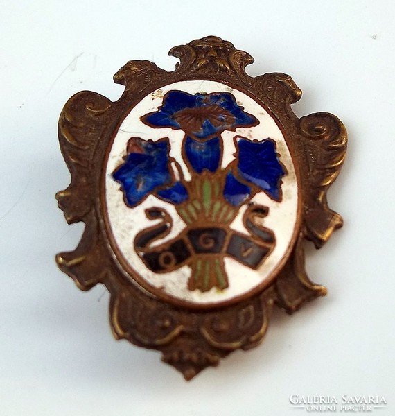 Antique enamel badge award